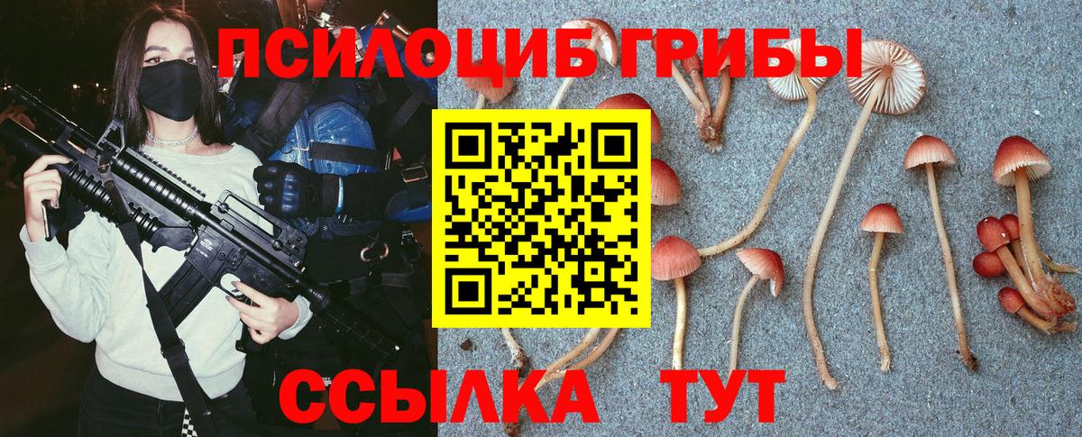 APVP Новочебоксарск