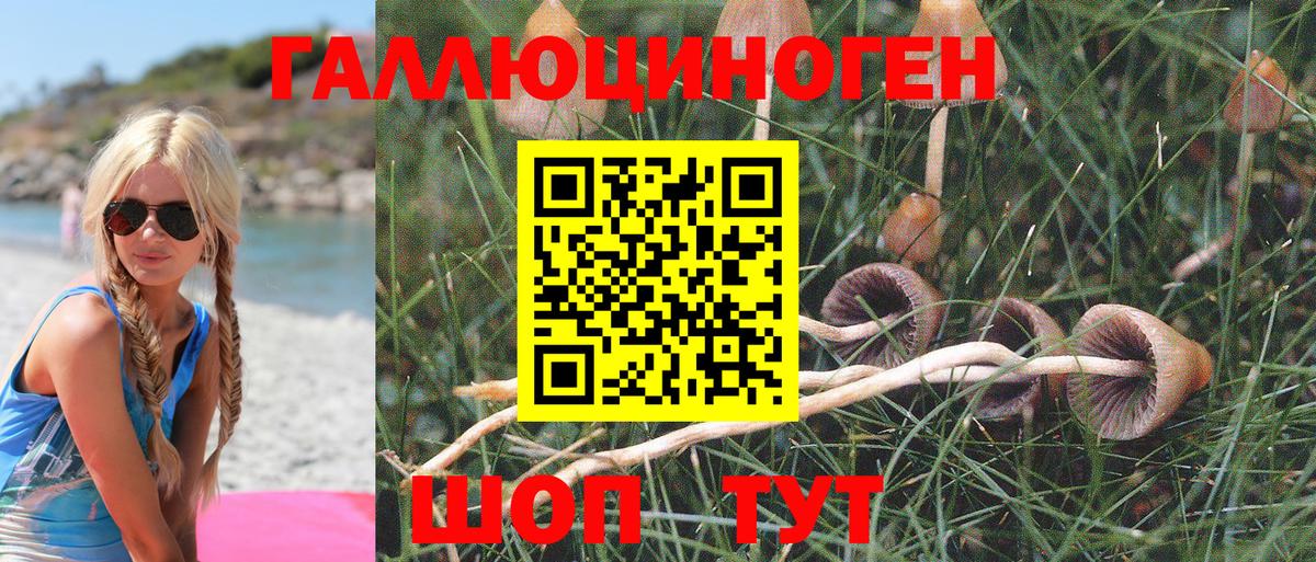 Галлюциногенные грибы Magic Shrooms Новочебоксарск